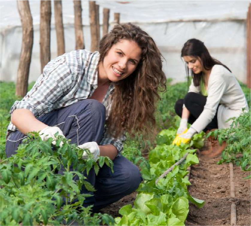 Women farmers working in greenhouse
